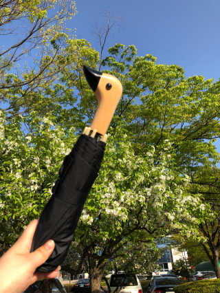 행복하게님이 올린 리뷰 사진 1