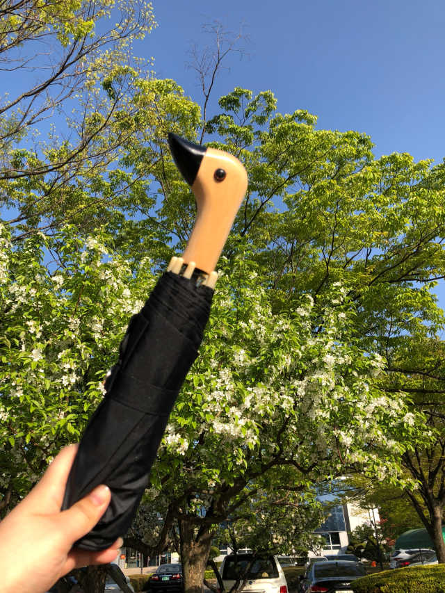 Mini Ducky Umbrella - 미니 오리우산 리뷰 사진