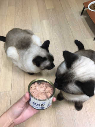 룰류랄라님이 올린 리뷰 사진 1