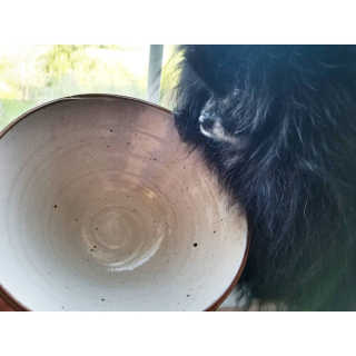 Peepingpomeranian님이 올린 리뷰 사진 2