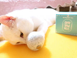 엘양님이 올린 리뷰 사진 2