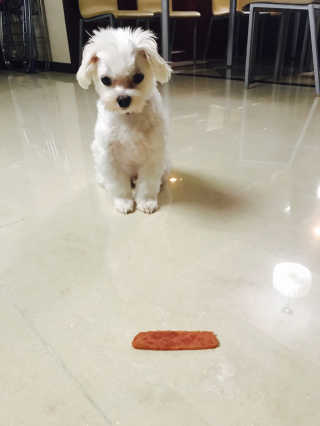 디지만경님이 올린 리뷰 사진 3