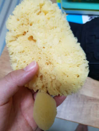 박한나님이 올린 리뷰 사진 1