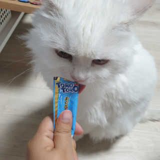 펫토리아 짜먹는 토로토로 고양이 파우치 간식 — 4점을 준 리뷰어가 2019년 6월 올린 사용 사진
