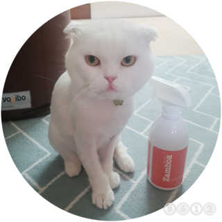 sunny38님이 올린 리뷰 사진 3