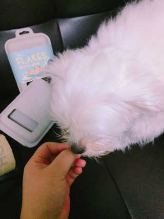 김예지님이 올린 리뷰 사진 3