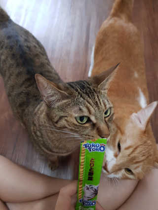 네롱이님이 올린 리뷰 사진 2