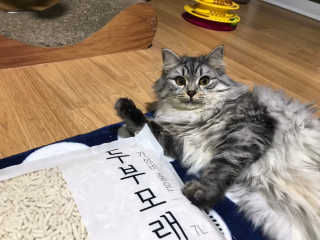 배융빵님이 올린 리뷰 사진 2