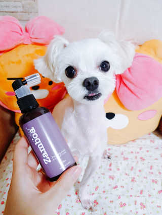 youngran님이 올린 리뷰 사진 1