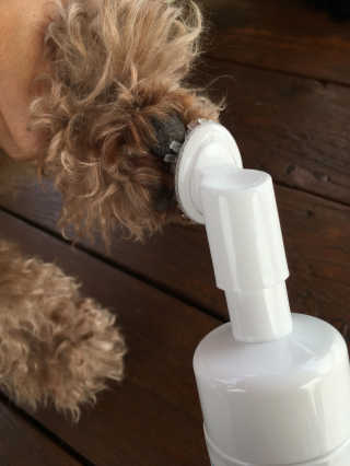 체리바닐라님이 올린 리뷰 사진 4