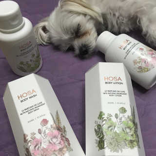 HOSA BODY WASH+BODY LOTION — 5점을 준 리뷰어가 2018년 4월 올린 사용 사진