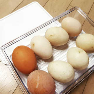 eunnnnnnnnm님이 올린 리뷰 사진 2
