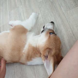 진이맘님이 올린 리뷰 사진 3