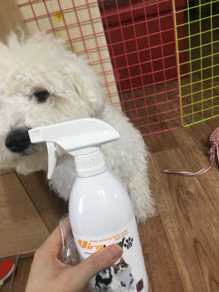 지은님이 올린 리뷰 사진 2