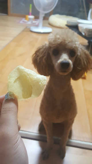 yunadori님이 올린 리뷰 사진 2