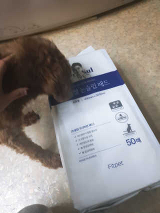 꾹꾹이님이 올린 리뷰 사진 2