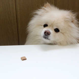 치리짱님이 올린 리뷰 사진 3