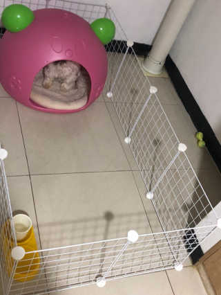 지안교님이 올린 리뷰 사진 2