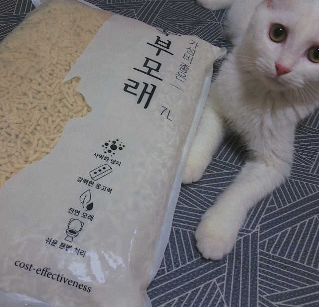 가성비 좋은 두부모래 7L 리뷰 사진