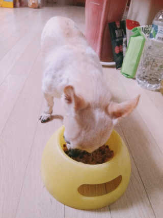 밀리님이 올린 리뷰 사진 2