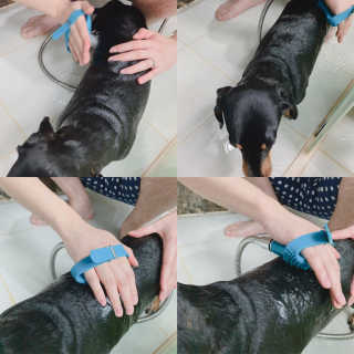 혜리뷰님이 올린 리뷰 사진 2