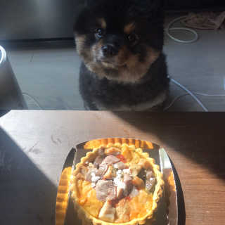 정아님이 올린 리뷰 사진 1