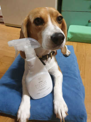 beaglelove님이 올린 리뷰 사진 3