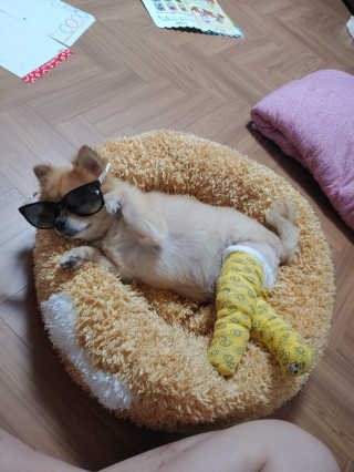 이은미님이 올린 리뷰 사진 3