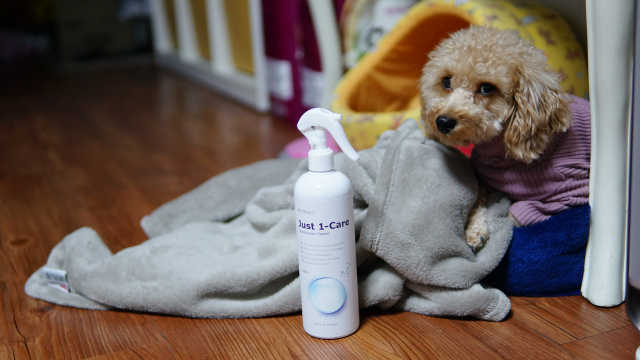 [펫토리아] 뚝딱케어 강아지 고양이 다목적세정제 리뷰 사진