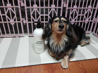 (주)에네스티 내추럴 촉촉  오트밀 바디워시 500ml — 5점을 준 리뷰어가 2019년 9월 올린 사용 사진