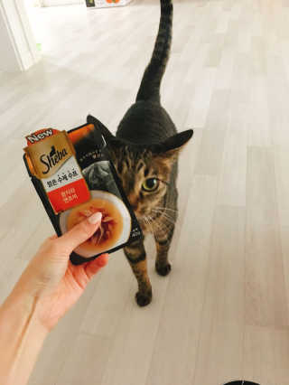 선율님이 올린 리뷰 사진 1