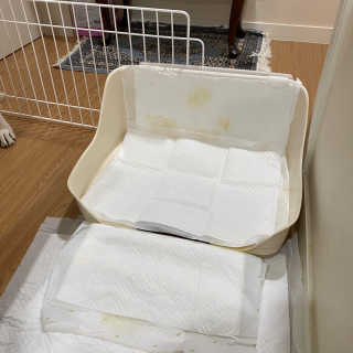 정봐기린님이 올린 리뷰 사진 3