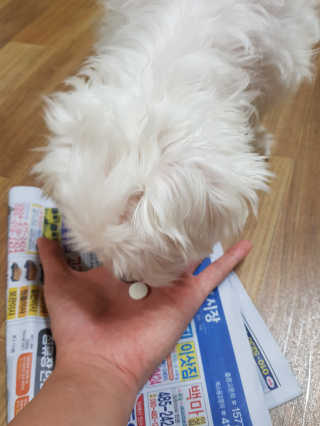 seri님이 올린 리뷰 사진 1