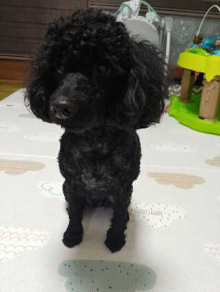 깔라만시아님이 올린 리뷰 사진 2