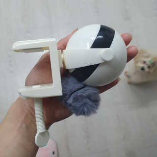 냥아치들님이 올린 리뷰 사진 3