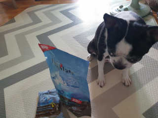 千殷妃님이 올린 리뷰 사진 4