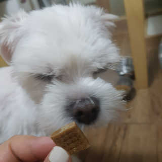 뽀오오옹님이 올린 리뷰 사진 3