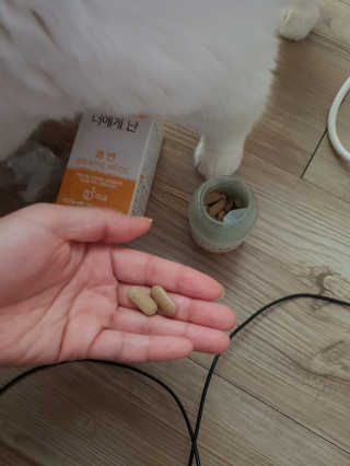 뺑수니님이 올린 리뷰 사진 2