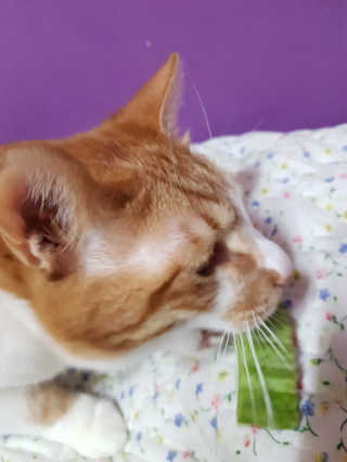 신예지님이 올린 리뷰 사진 2