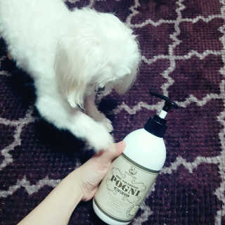 노현주님이 올린 리뷰 사진 1