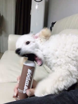 해롱이님이 올린 리뷰 사진 1