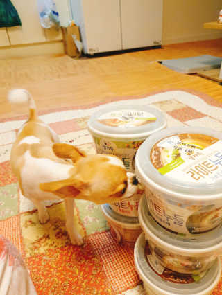꼬몽쓰님이 올린 리뷰 사진 3
