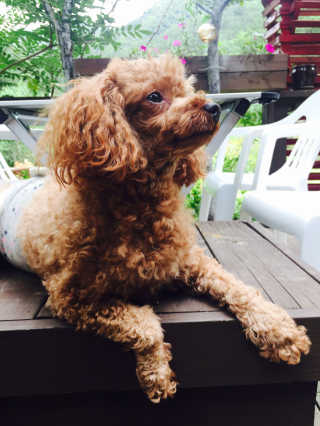 채정이님이 올린 리뷰 사진 4