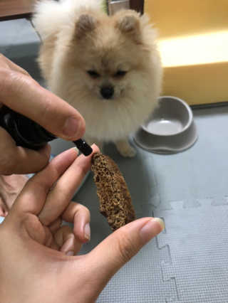 삼백이님이 올린 리뷰 사진 2