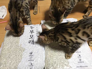 Erika님이 올린 리뷰 사진 2