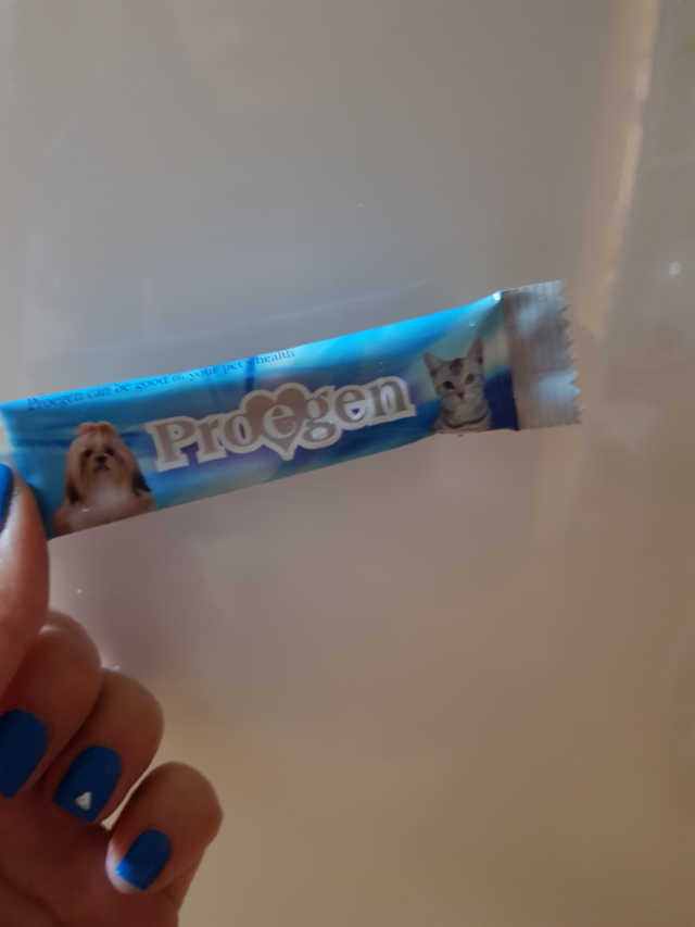 글로벌펫 프로이젠 종합영양제 분말 30p 리뷰 사진