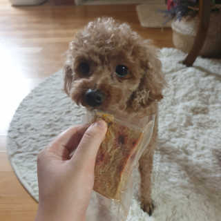 유나님이 올린 리뷰 사진 1