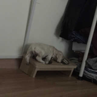 Ghhryh님이 올린 리뷰 사진 3