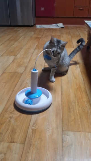 으콩님이 올린 리뷰 사진 2