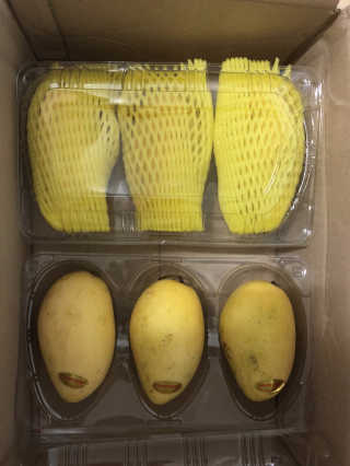 하루코로님이 올린 리뷰 사진 4